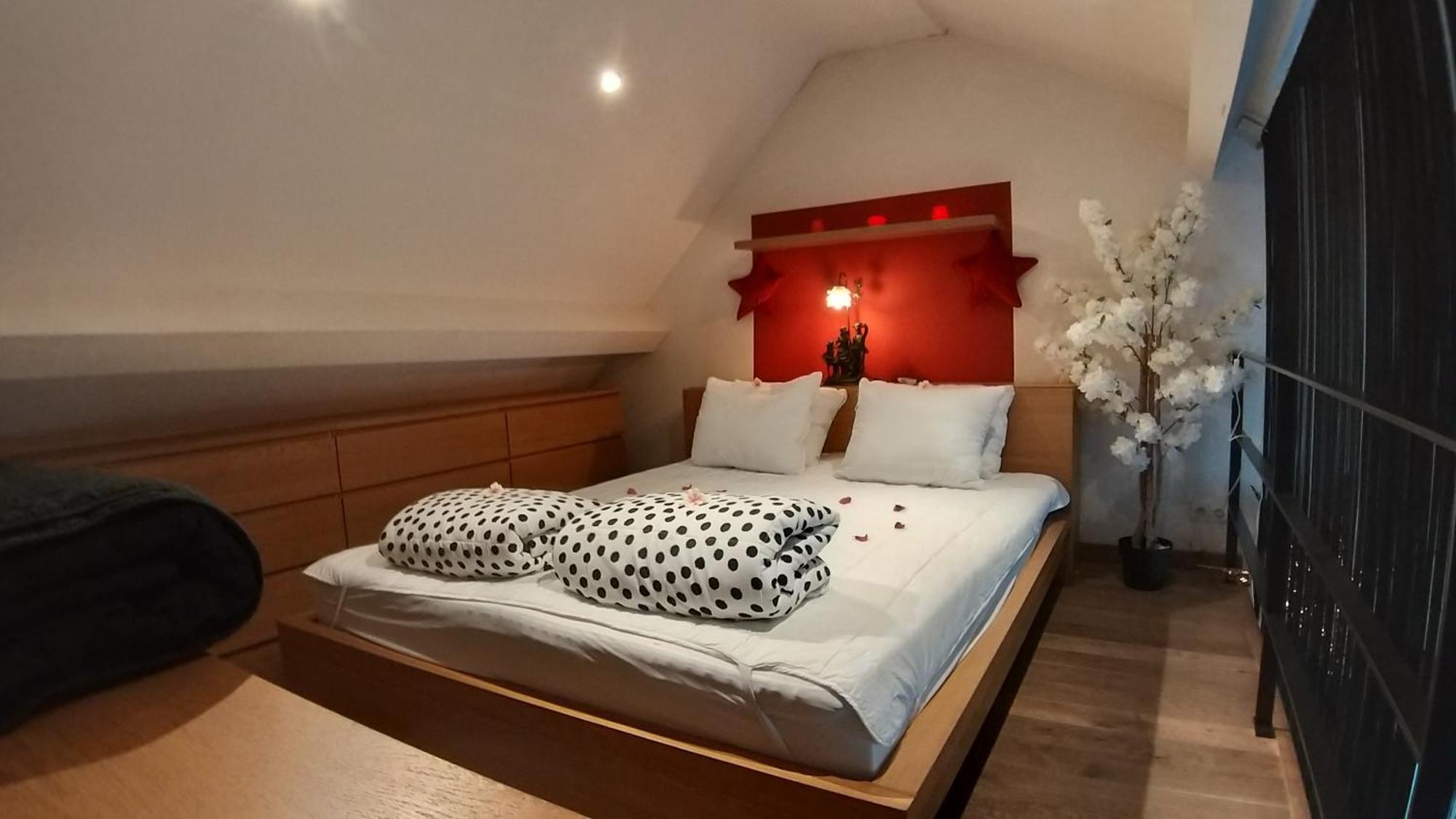 شقة Wellness Loft With Sauna, Jacuzzi, Roof Terrace & Amazing View أنتويرب المظهر الخارجي الصورة