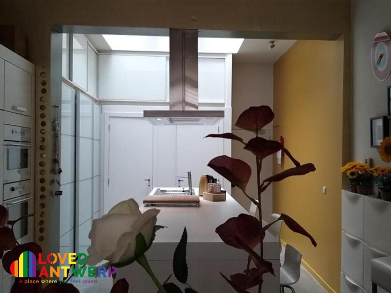 شقة Wellness Loft With Sauna, Jacuzzi, Roof Terrace & Amazing View أنتويرب المظهر الخارجي الصورة